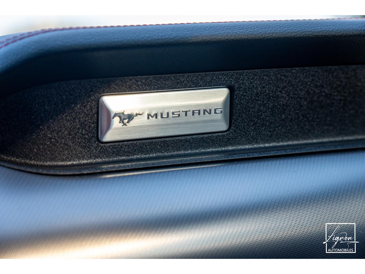 Photo FORD MUSTANG Cabriolet 5.0 V8 - 450 - BVA10
