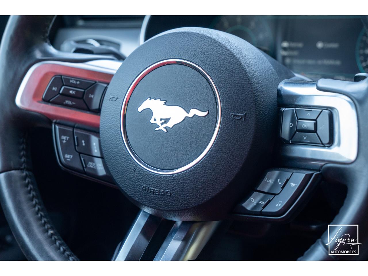 Photo FORD MUSTANG Cabriolet 5.0 V8 - 450 - BVA10