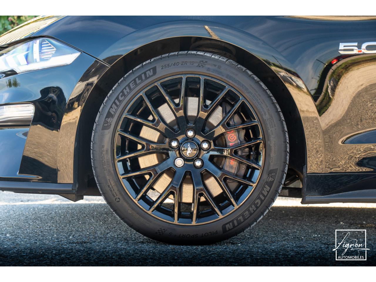 Photo FORD MUSTANG Cabriolet 5.0 V8 - 450 - BVA10