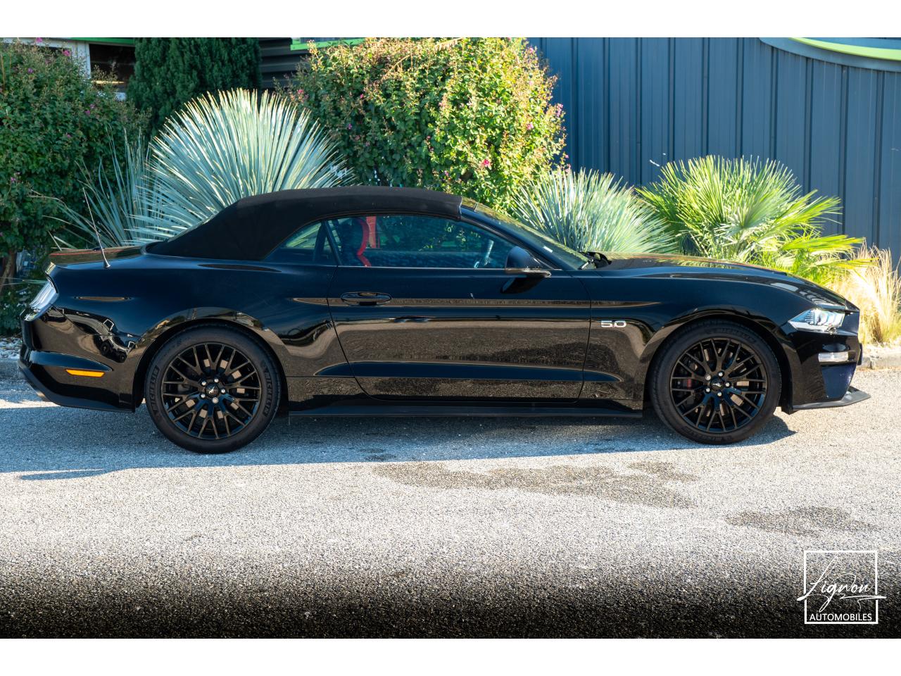 Photo FORD MUSTANG Cabriolet 5.0 V8 - 450 - BVA10