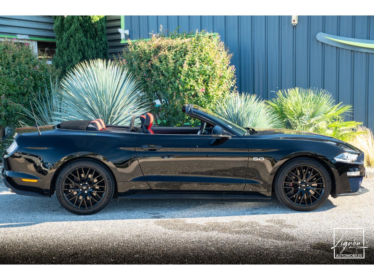 Photo FORD MUSTANG Cabriolet 5.0 V8 - 450 - BVA10